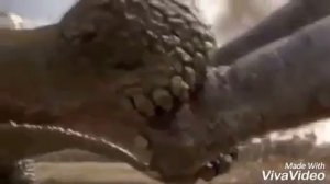 Carcharodontosaurus vs sarcosuchus