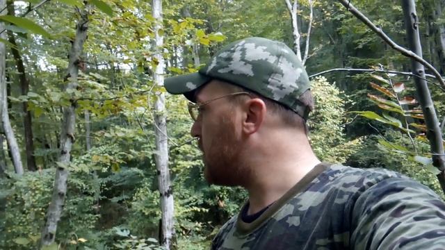 За грибами по родным местам.