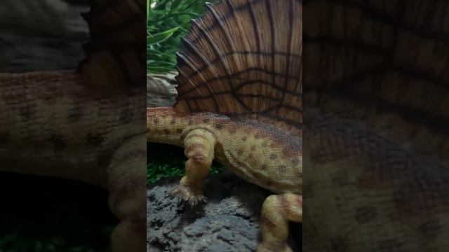 5 DATOS que no CONOCÍAS sobre el DIMETRODON | #DiversiónConDinosaurios смотреть онлайн