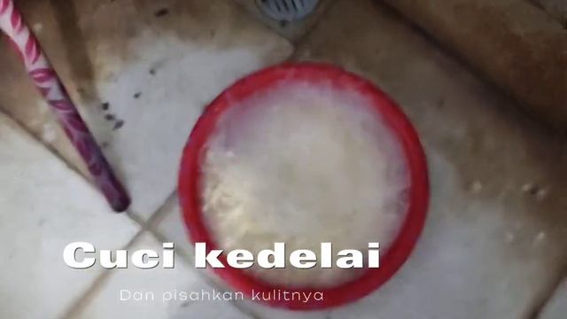 Tugas biologi M Wildan смотреть онлайн