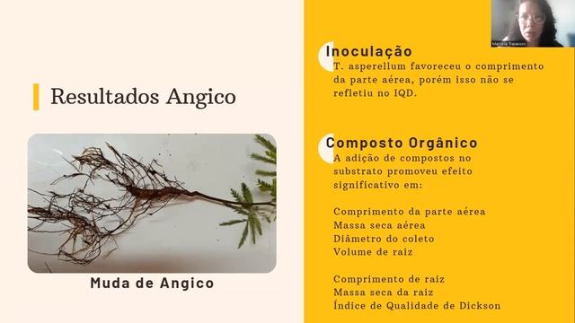 Substrato Enriquecido Com Composto Orgânico E Trichoderma Na Produção E Qualidade De Mudas De Arbór