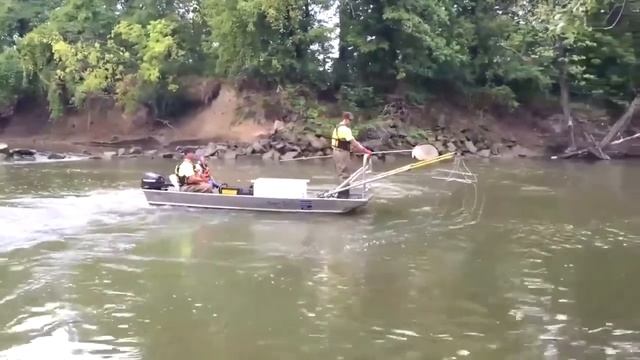 СУЩЕСТВА СНЯТЫХ НА КАМЕРУ 18+ смотреть онлайн