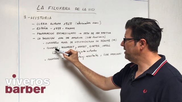 Filoxera de la Vid: Historia, Síntomas, daños y Prevención. ✅ смотреть онлайн