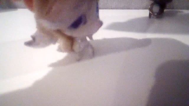 Видео для канала Ксюша LPS клип Миньоны папайя клубняк ремикс песня миньонов 2016 смотреть онлайн