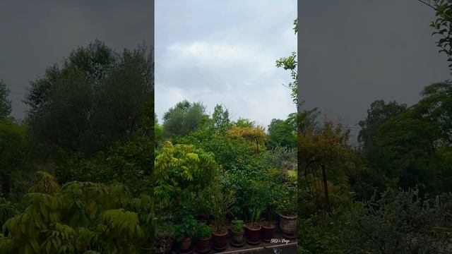 Weather Rain 🌧️ Islamabad Bharakao|Home|Garden|Gardening|Organic|Clouds|Jagjit|Ghazals|Singh смотреть онлайн