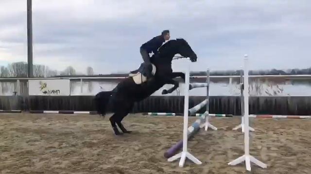 Упражнение 140 см продажа кобыла horse for sale смотреть онлайн