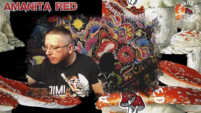 Микродозинг Не Помогает От Зависимостей!   Что и Как Изменяет сознание??