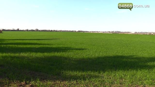 Обращение к Президенту, увольнения и реструктуризация: как прошла сессия городского совета смотреть онлайн