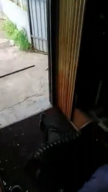 Собака лает под музыку, гармонь, татарин, татарский прикол, "татарский юмор" гармун кое,баян смотреть онлайн