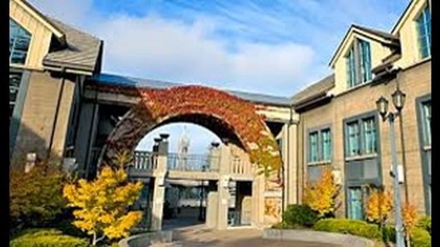 12#Haas School of Business, University of California Berkeley смотреть онлайн
