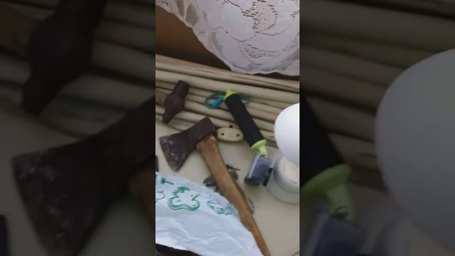 Juodasis Berzo Grybas .