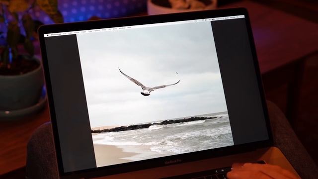 LG V40 Pro Photographer Camera
Review смотреть онлайн