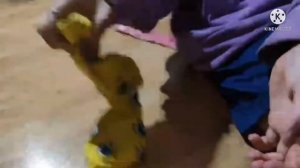 3 СПОСОБА СЪЕСТЬ КАКАШКУ!