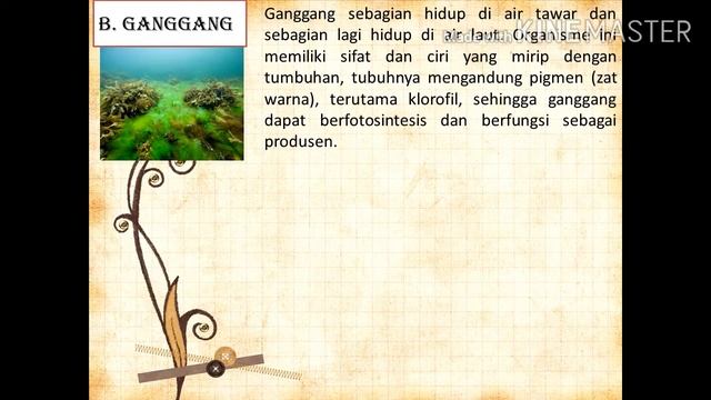Sistem Klasifikasi 5 Kingdom Makhluk Hidup - Materi IPA Kelas 7