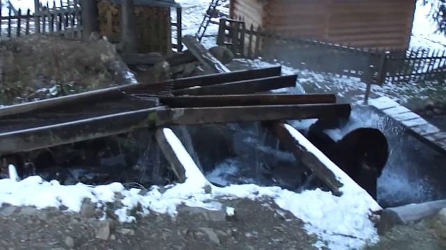 Дорога на Синевир (утро) смотреть онлайн