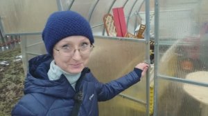 Видео привет с 6 соток 1 февраля 2025 года