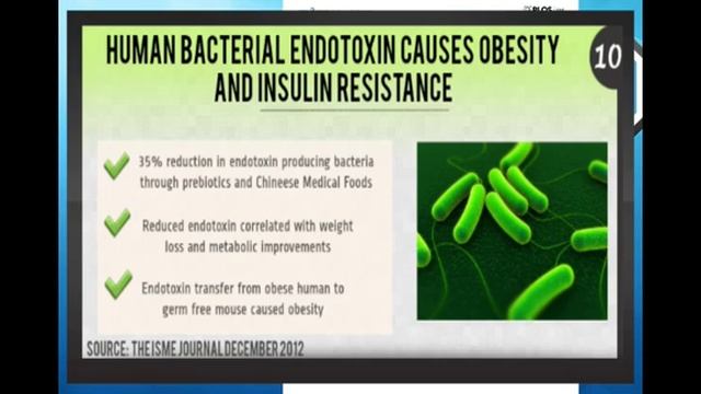 Leaky Gut Causes Heart Disease, Endotoxin Overview