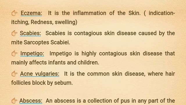 Basic knowledge about Skin system смотреть онлайн
