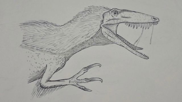 Megaraptor Sounds
