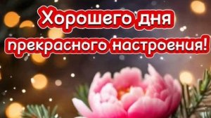 31-01-2025 Хроника дня.Жизнь в деревне.