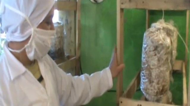 Orellanas Amanda Clavijo Y Lucas Garzon Zipaquira