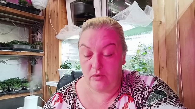 😱Голова идёт кругом😱Дур дом какой то. 😱Жизнь балует сюрпризами. 😭 смотреть онлайн