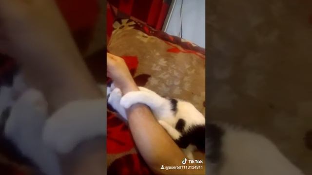 Мия смотреть онлайн