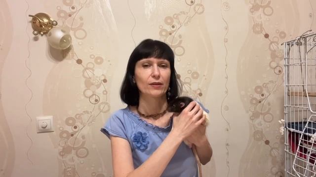 Особенный день на нашем канале. Забавный Емельян. #крысы #rat #animal #животные смотреть онлайн