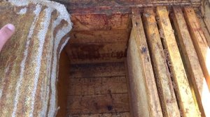 Варианты как почистить улей лежак с глухим дном. Как убрать подмор в лежаке?