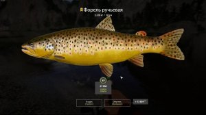 ТРОФЫ НЕ КОНЧАЮТСЯ НА ЭТО ТОЧКЕ!!! ФОРЕЛЬ #рр4 #русская рыбалка 4