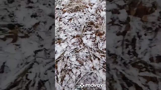 22 ноября 2022 г.