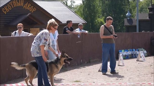 ТИНА 0.25 смотреть онлайн