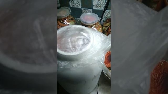 Мухомор в каждый дом🍄 смотреть онлайн