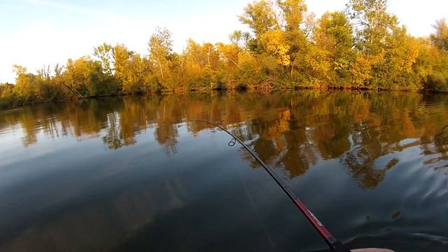 ЩУКА ПРОСНУЛАСЬ/ОСЕННИЙ ТРОФЕЙ смотреть онлайн