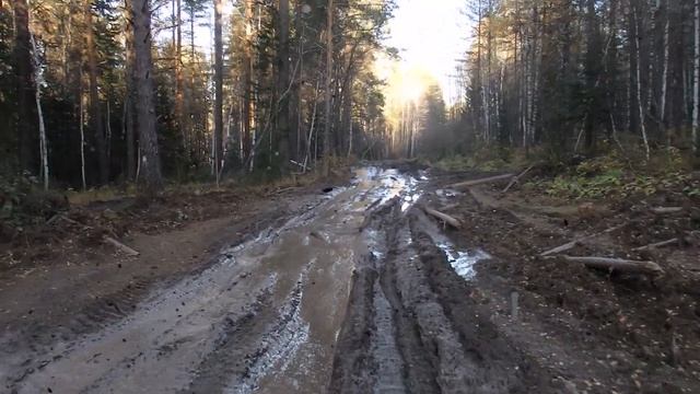 Инзерские Зубчатки - Кардон Месселя  - Тирлян \ Дорога на Инзерские Зубчатки октябрь 2019 г