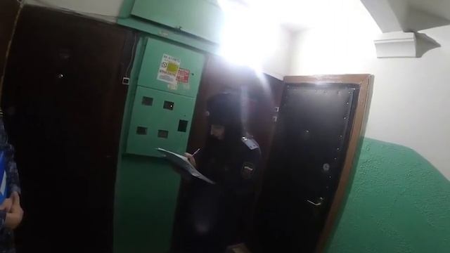 Прогоняем шакалов смотреть онлайн