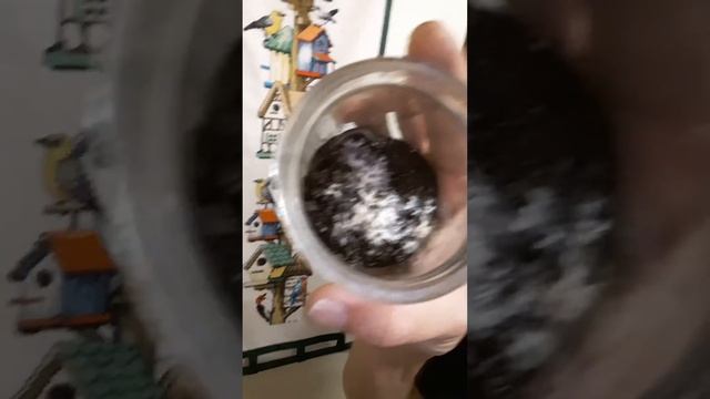 Cure For Mushroom Contamination Is A Bug?