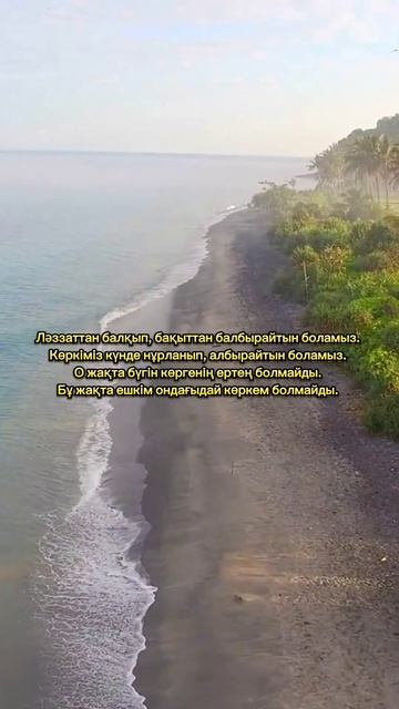Серік Қалиев өлеңі  #поэзия #өлең #youtubeshorts