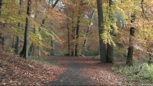 Осень в Филадельфии 2007