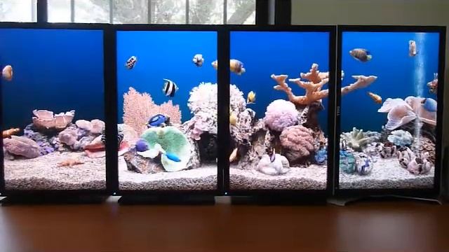 Fish Screensaver смотреть онлайн