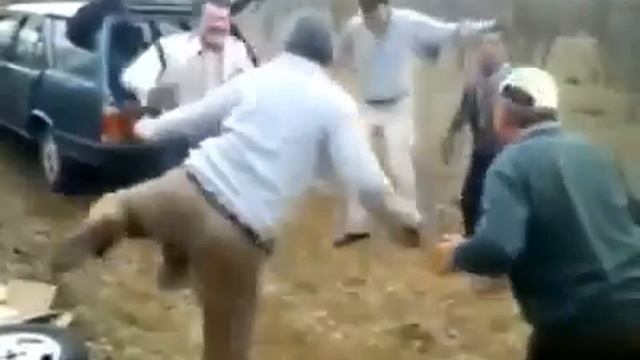 Party Hard On Mushrooms!