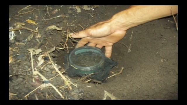CAPTURA REPRODUCCION Y USO DE HONGOS BENEFICOS EN AO.