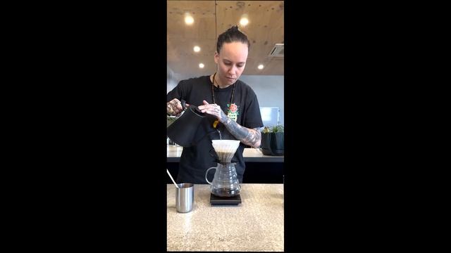 Brew Guide: Honduras Finca La Salsa, Honey, Geisha смотреть онлайн