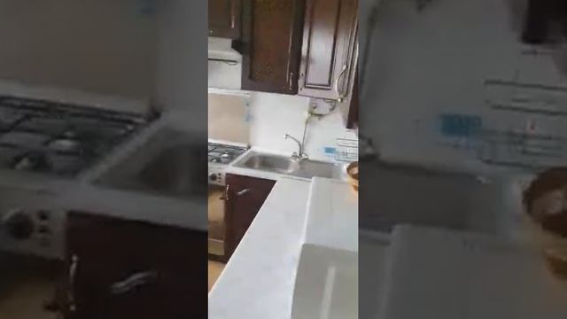 Вільна оренда 1-кімнатна квартира Львів, вул. Городоцька 293 смотреть онлайн