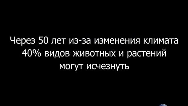 Зайцы должны выжить! / The rabbits must live on! смотреть онлайн