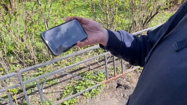 отлов ДИКИХ котов и кошек. Меня увезли в багажнике смотреть онлайн
