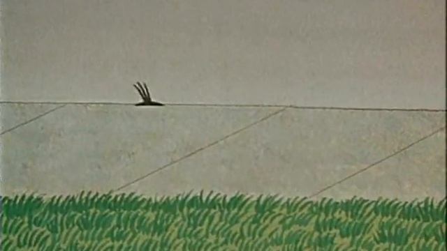 Krtek A Auticko / Mole And The Car / Кротик и автомобильчик