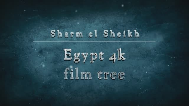 Египет 4к фильм 3 смотреть онлайн