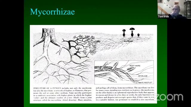 FFSC 2021 May General Meeting With Tom Volk