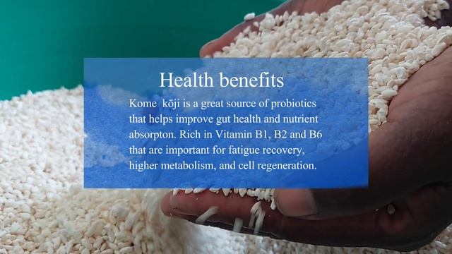 Rice Malt (Kome kōji) Production in Kenya смотреть онлайн